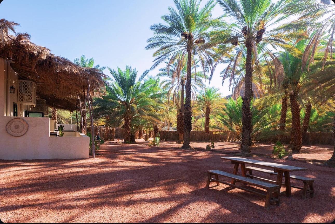 Отель Under Las Palms Alula Madain Saleh Экстерьер фото